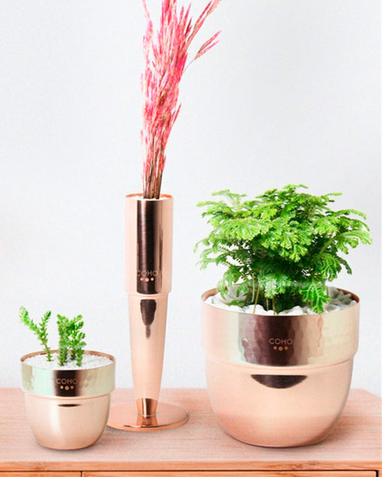 Artisan I Want You Too Copper Pots