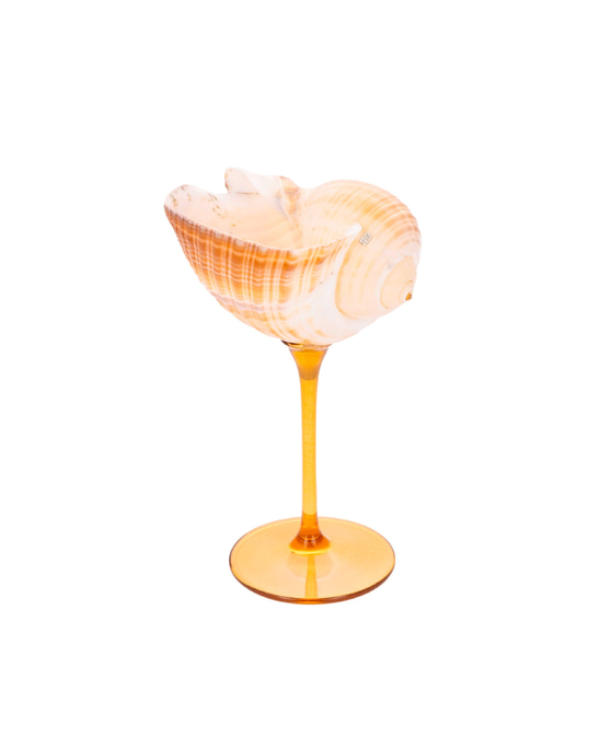 Galea - Shell Stemware 