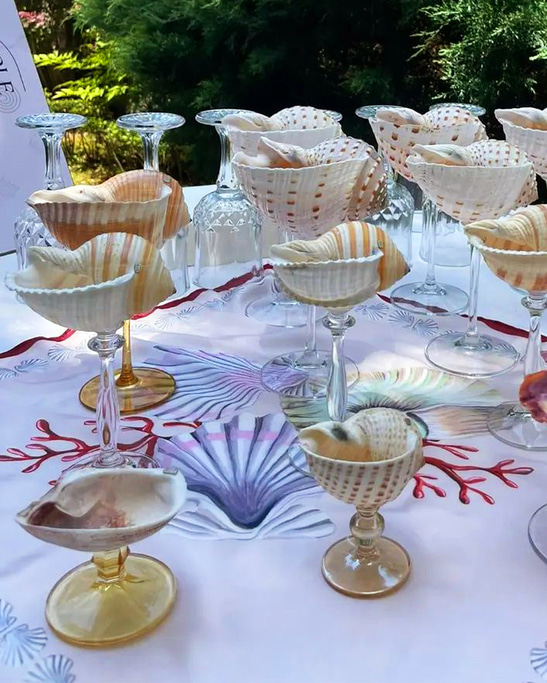 Galea - Shell Stemware 