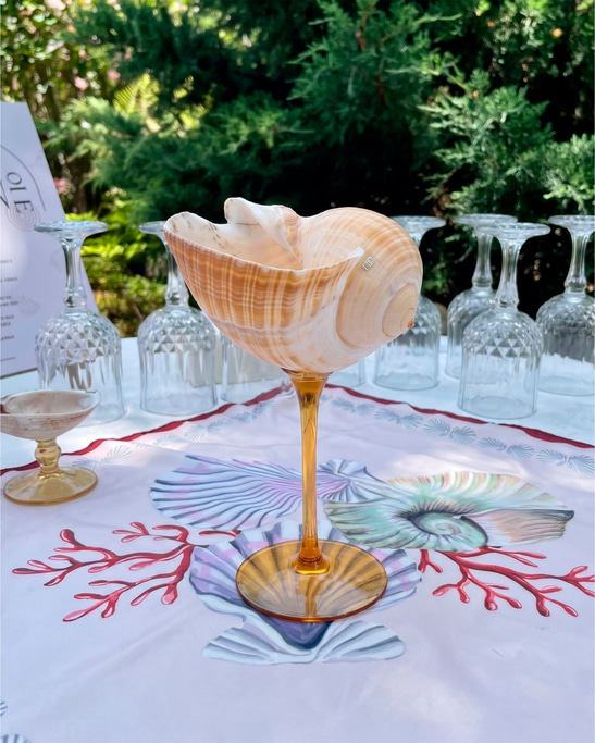 Galea - Shell Stemware 