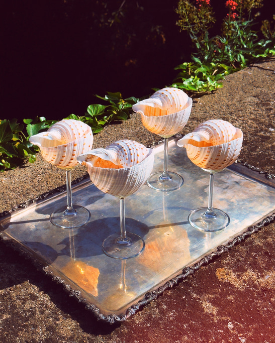 Multi - Shell Stemware