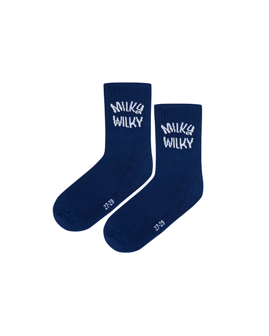 Navy Socks