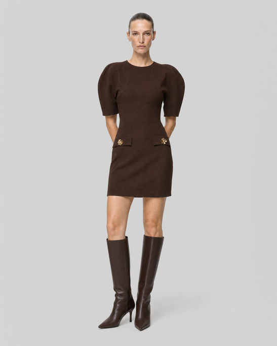 Naya Puff-Sleeve Mini Dress Brown