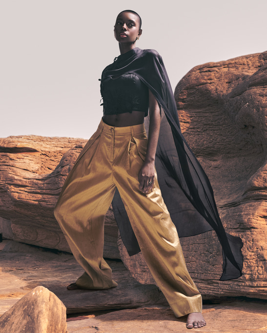 Nerina Silk Organza Cape
