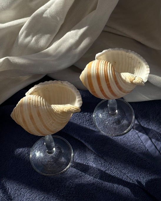 Striped - Shell Stemware 