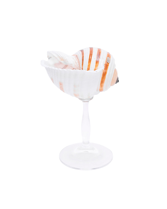 Striped - Shell Stemware 