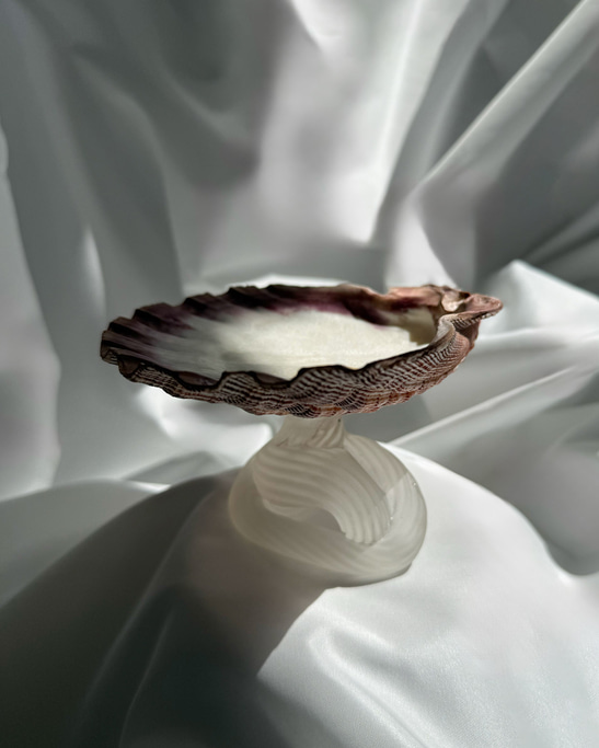 The Scallop Dish