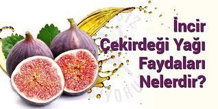 Alcenlife İncir Çekirdeği Yağı Faydaları