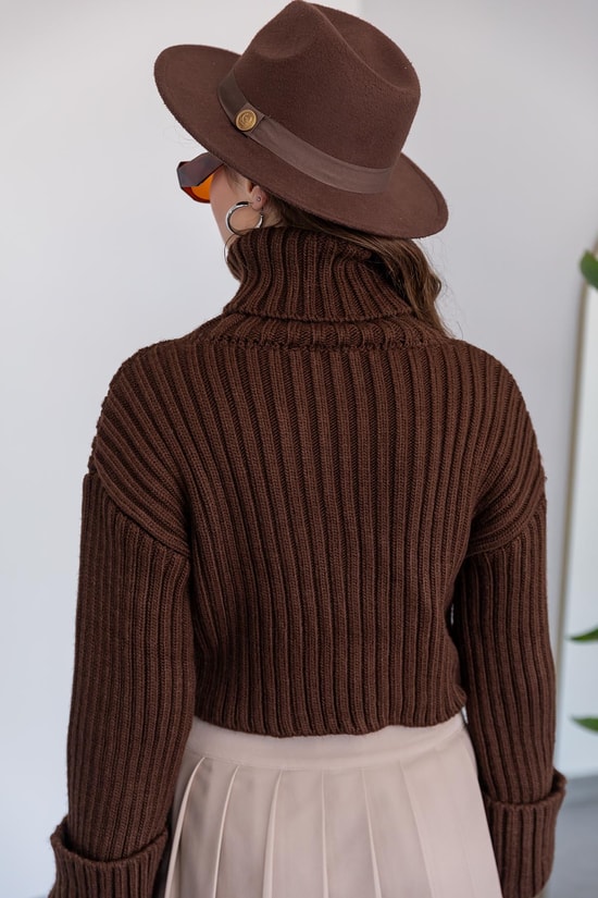 Brown Pullover