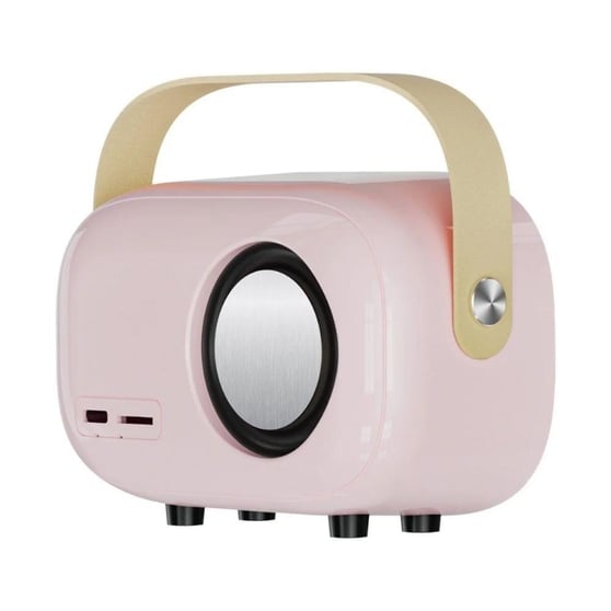 JHY K5 2 Mikrofonlu Bluetooth Kareoke Pembe