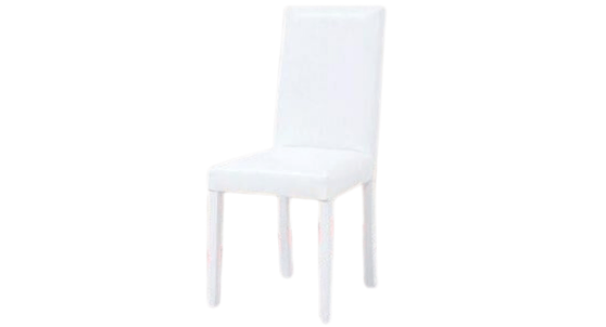 Eko Beyaz Sandalye (D5060)