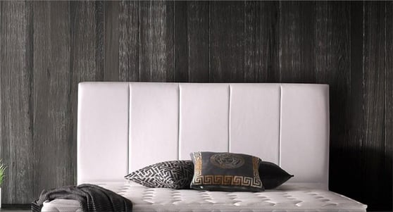 Golden 150lık Başlık