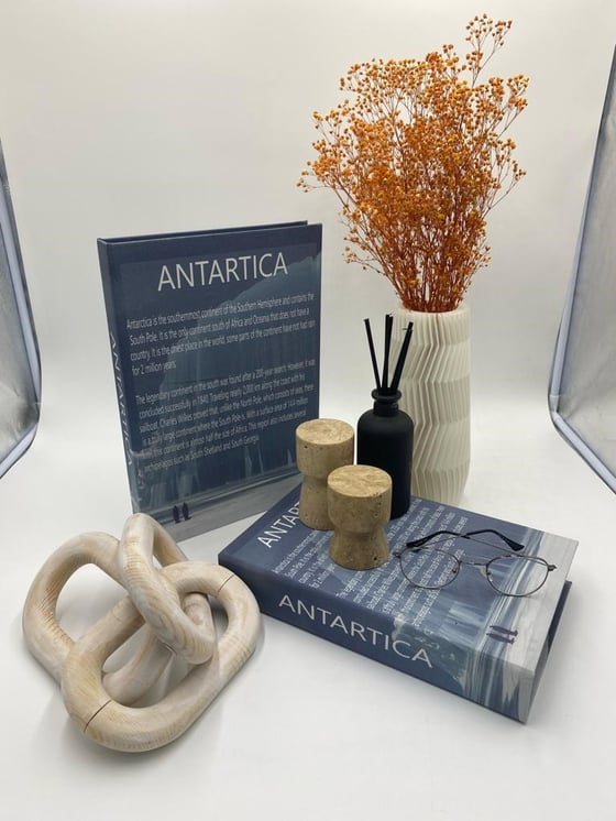 Antartica Dekoratif Kitap KutuDekoratif Kitap KutularTablolife