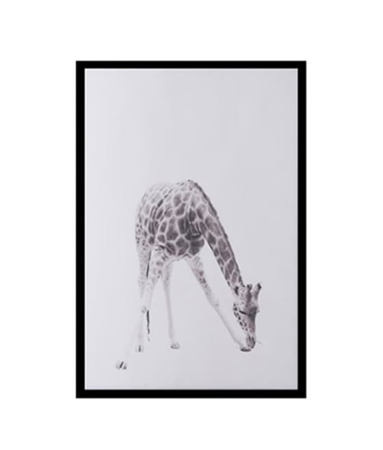 Zürafa Çerçeveli PosterPosterlerTablolife.com