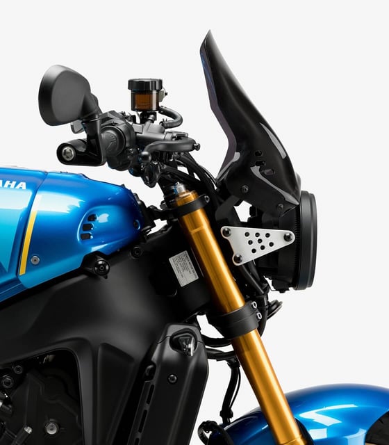 Puig 21431F Dark Smoke Ön Cam 