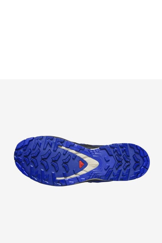 Salomon Xa Pro 3D V9 Gtx L472703 Erkek Outdoor Ayakkabı - Mavi