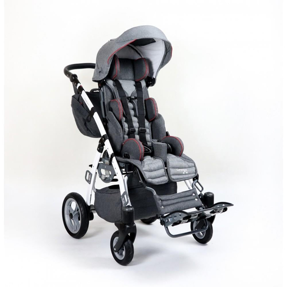 Mywam Grizzly Engelli Çocuk Puseti Full Aksesuarlı