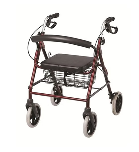 FH07C Ekonomik Rollator