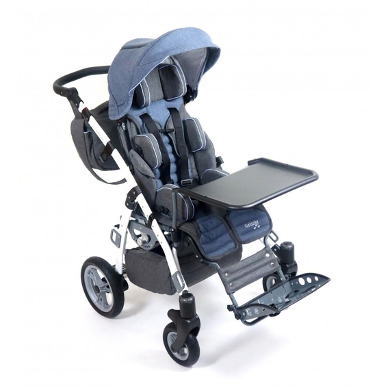 Mywam Grizzly Engelli Çocuk Puseti Full Aksesuarlı