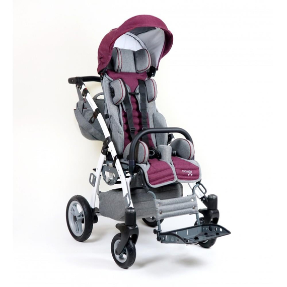 Mywam Grizzly Engelli Çocuk Puseti Full Aksesuarlı