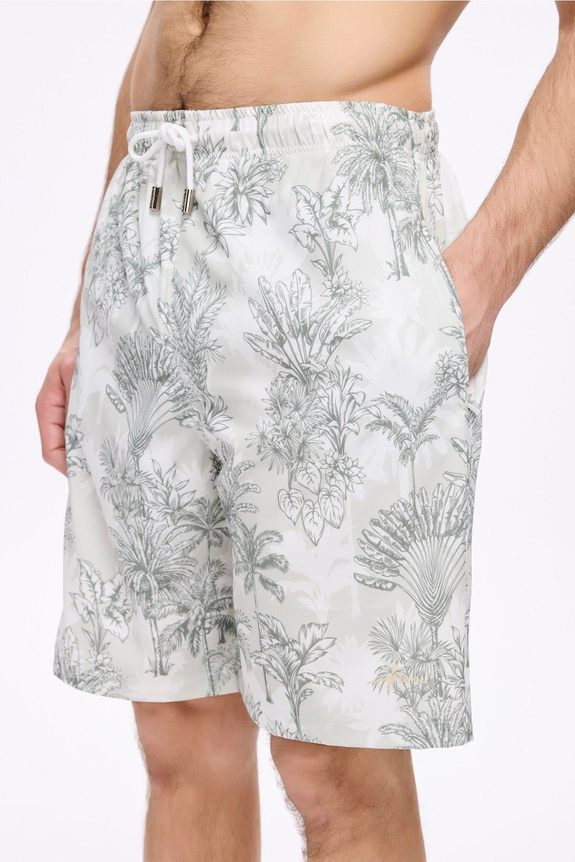 HaşemaHSM-5036 AŞİL