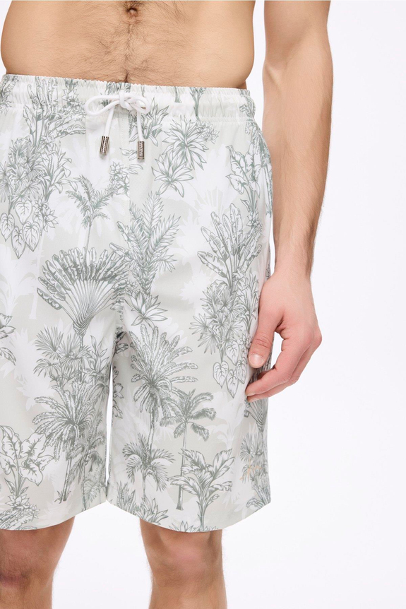 HaşemaHSM-5036 AŞİL