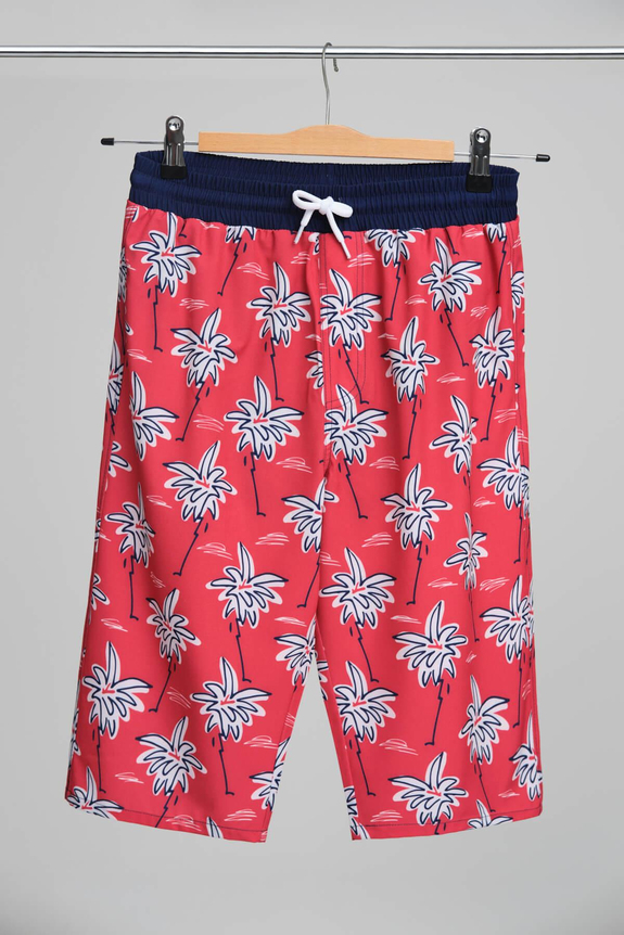 HaşemaHSM-2997 ENES