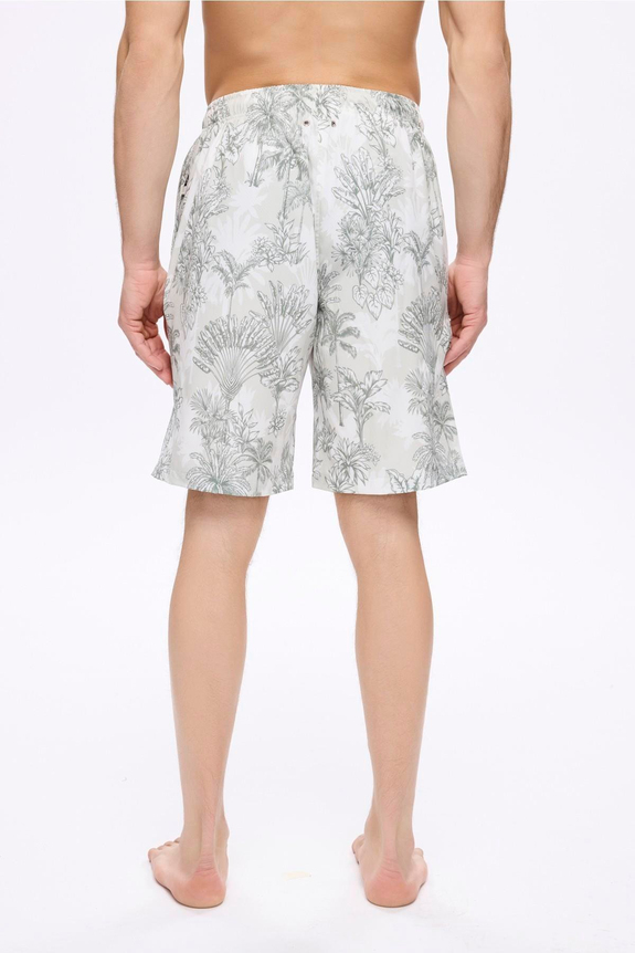 HaşemaHSM-5036 AŞİL