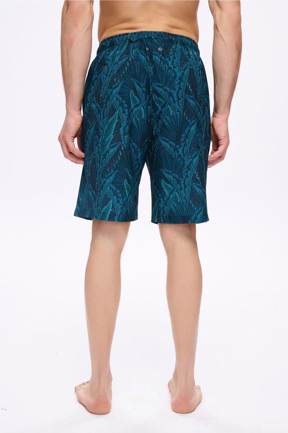 HaşemaHSM-5035 AHVES