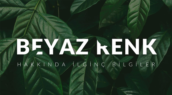 Beyaz Renk Hakkında İlginç Bilgiler