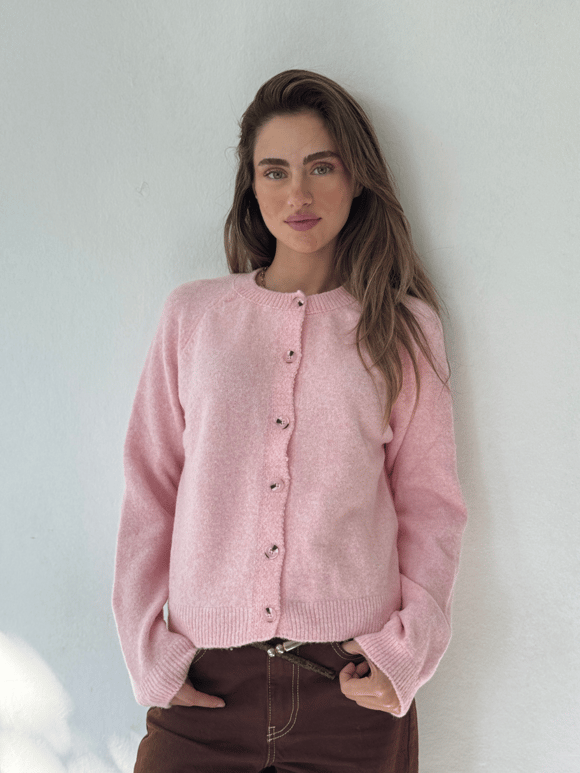 Retrobird Jodie Bisiklet Yaka Düğmeli Pembe Triko Hırka