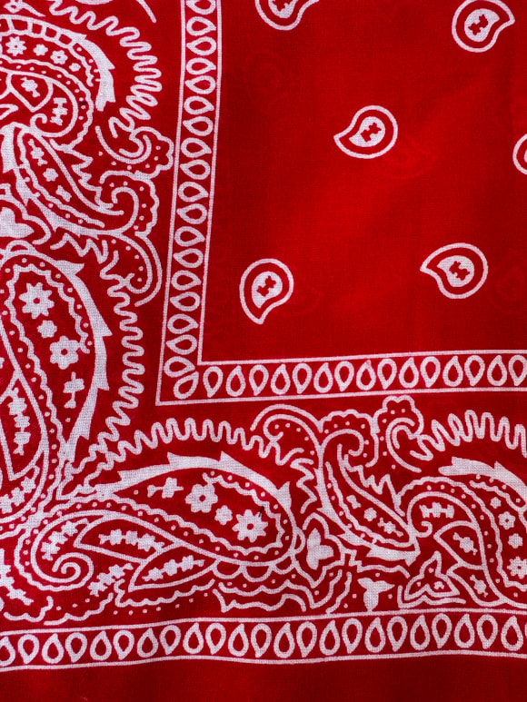 Retrobird Bandana