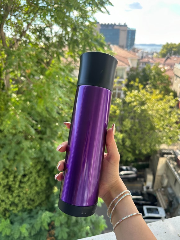 Retrobird Outdoor Kamp Paslanmaz Çelik Mor Termos 500 ML