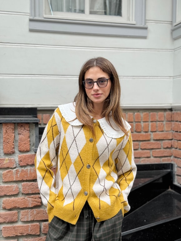 Retrobird Bakşava Desenli Hardal Hırka