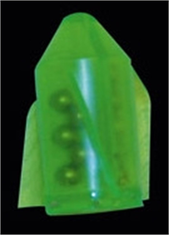 2030-023 Yem Çıngırağı