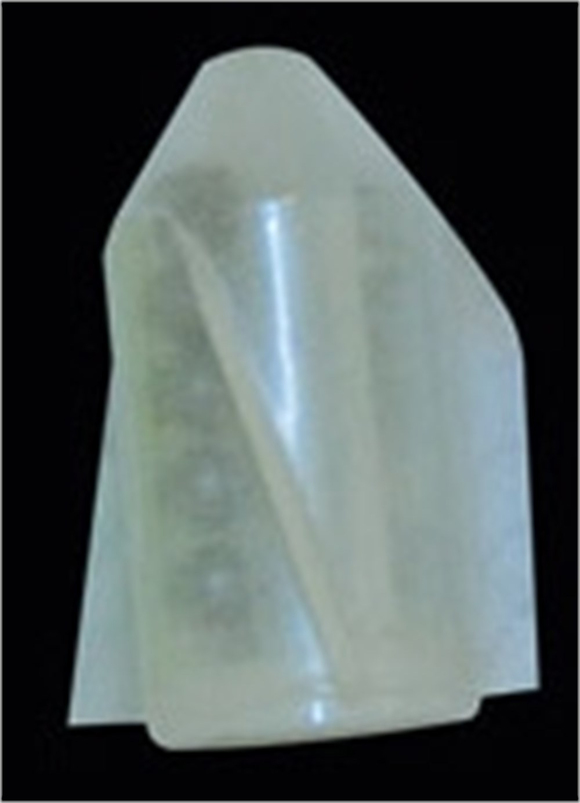 2030-023 Yem Çıngırağı