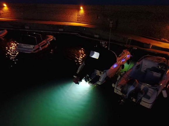 Bluefin LED Piranha P3 Su Altı Lambası 1610 Lümen-Beyaz