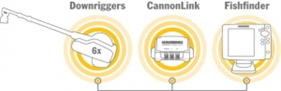 Cannon Digi-Troll 10