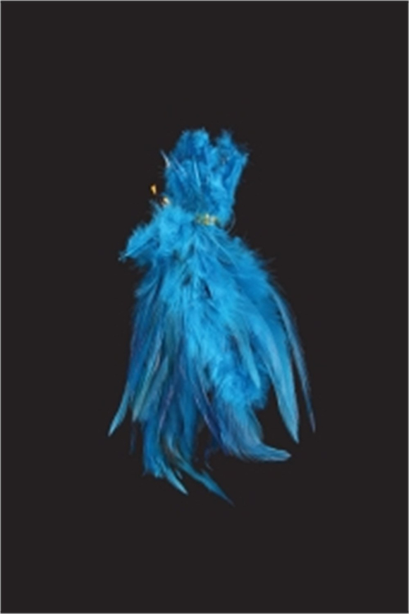 Natural Feather