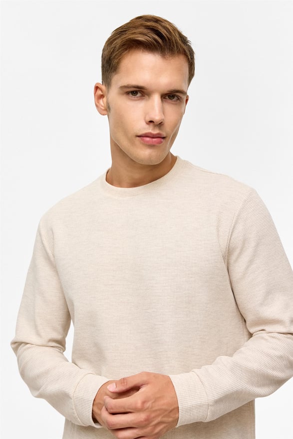 Bej Regular Düz Bisiklet Yaka Sweatshirt