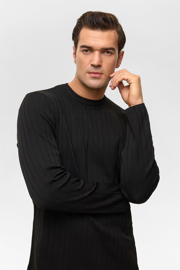 Siyah Regular Desenli Bisiklet Yaka Triko Kazak