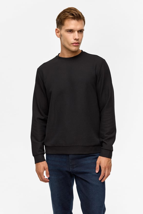 Siyah Regular Düz Bisiklet Yaka Sweatshirt