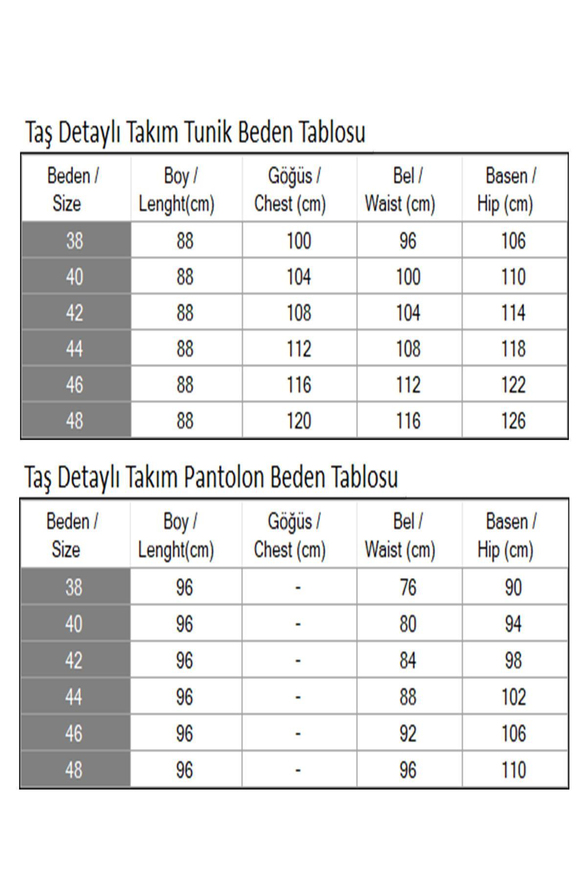 Taş Detaylı Takım Gül Kurusu MSW19203-3