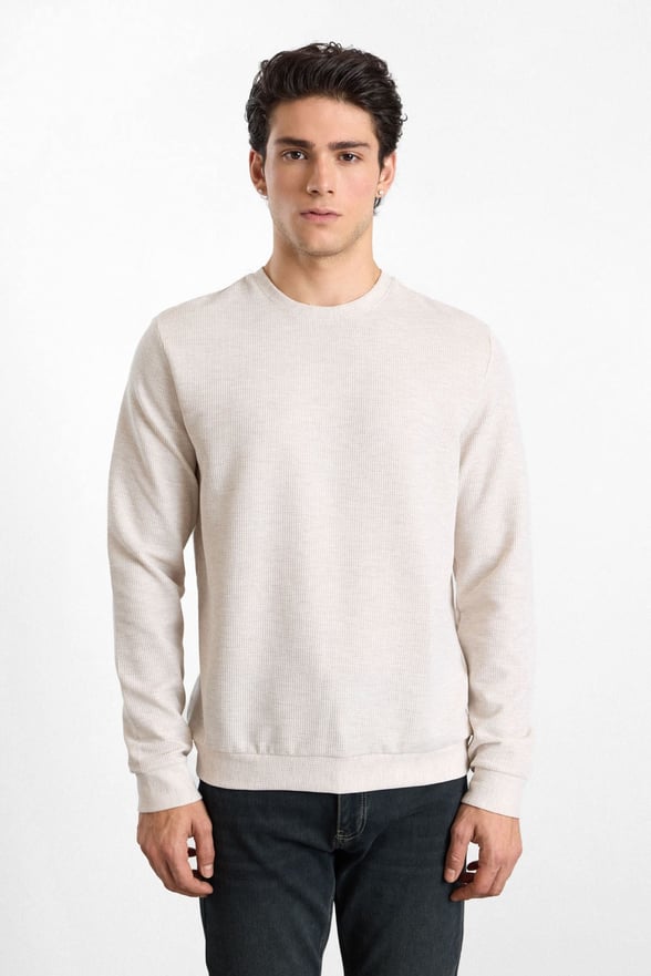 Bej Regular Düz Baskısız Waffle Bisiklet Yaka Cepsiz Sweatshirt