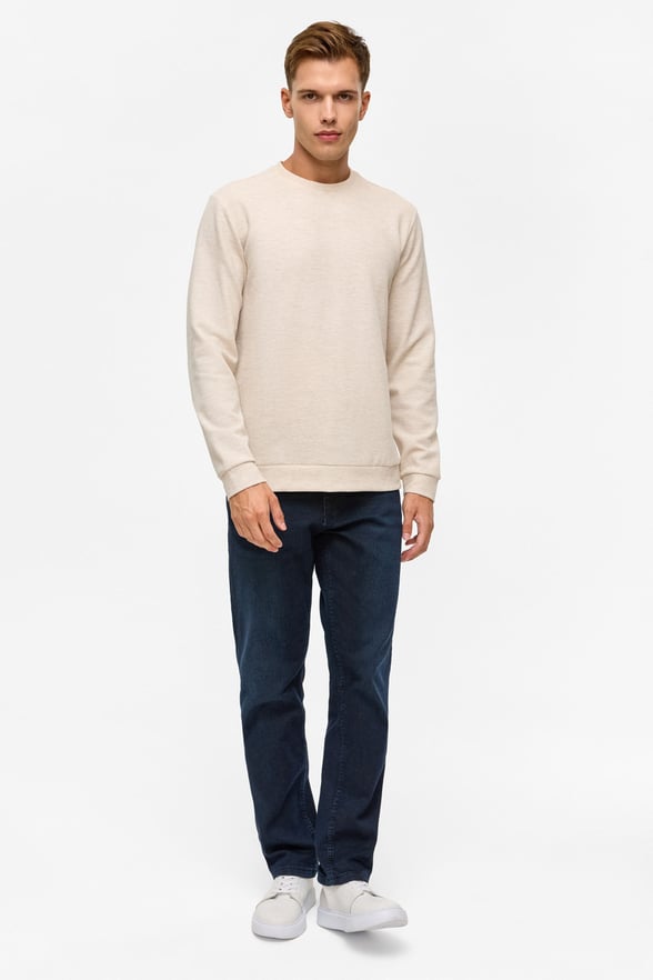 Bej Regular Düz Bisiklet Yaka Sweatshirt