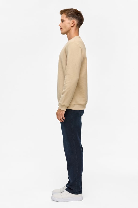 Bej Regular Düz Bisiklet Yaka Sweatshirt
