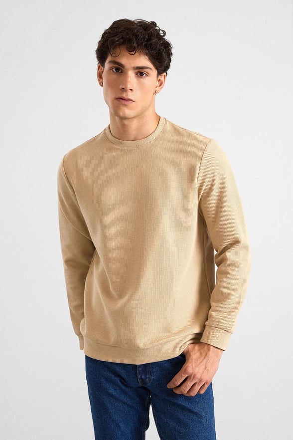 Bej Regular Düz Bisiklet Yaka Sweatshirt