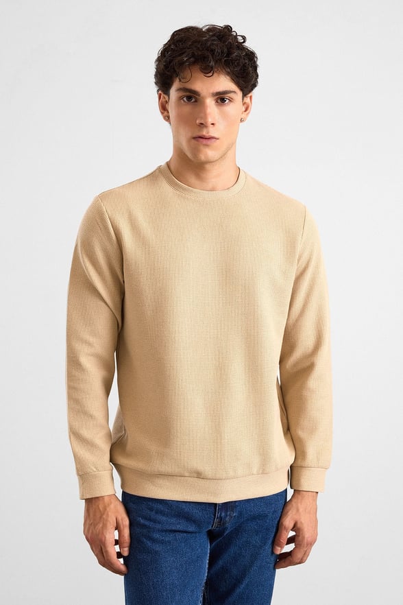 Bej Regular Düz Bisiklet Yaka Sweatshirt