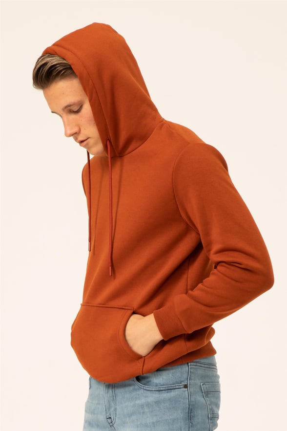 Gül Kurusu Regular Düz Kapişonlu Yaka  Sweatshirt