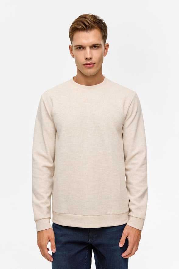 Bej Regular Düz Bisiklet Yaka Sweatshirt